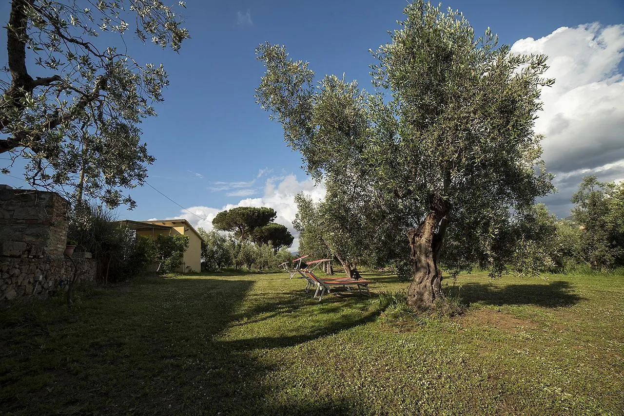 مزرعة للإقامة Agriturismo Greppo All'Olivo دونوراتيكو